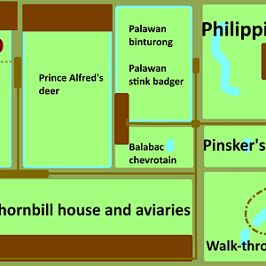 Species Based Exhibits - Tamaraw / Philippine Forest
