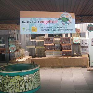 Nürnberg Tiergarten - Silent Forest exhibition