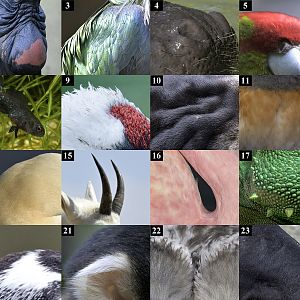 May Day Lockdown Puzzle with Order Corrected