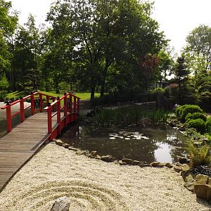 Japanese garden - 2013/14