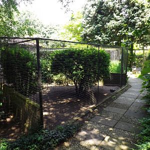 Rows of aviaries - 2013/14