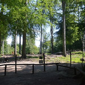 Wild Boar Enclosure at Wildpark Grafenberger Wald, 23/06/2019