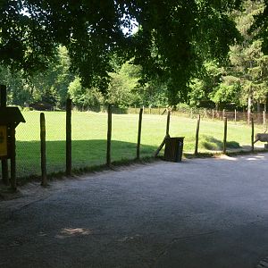 Red Deer Enclosure at Wildpark Grafenberger Wald, 23/06/2019