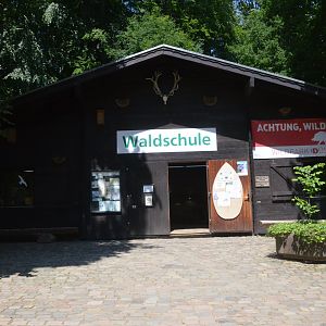Current Forest School at Wildpark Grafenberger Wald, 23/06/2019