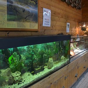 Small Animal Enclosures at Wildpark Grafenberger Wald, 23/06/2019