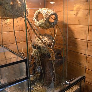 Harvest Mouse Enclosure at Wildpark Grafenberger Wald, 23/06/2019