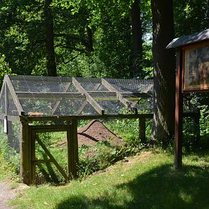 Ant Exhibit at Wildpark Grafenberger Wald, 23/06/2019