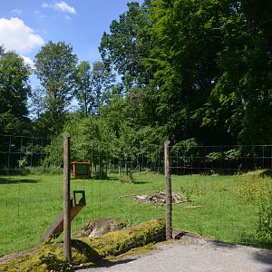 Roe Deer Enclosure at Wildpark Grafenberger Wald, 23/06/2019