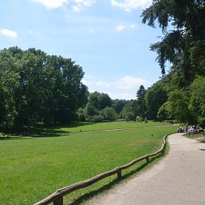 Fallow Deer Walkthrough at Wildpark Grafenberger Wald, 23/06/2019