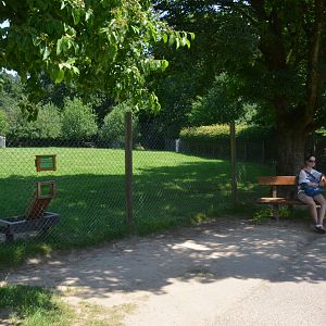 Mouflon Enclosure at Wildpark Grafenberger Wald, 23/06/2019