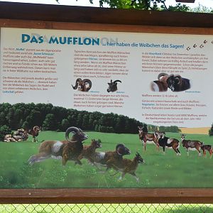Signage Example at Wildpark Grafenberger Wald, 23/06/2019