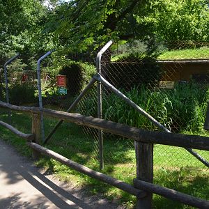 Northern Raccoon Enclosure at Wildpark Grafenberger Wald, 23/06/2019