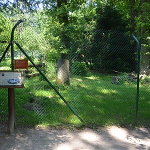 Red Fox Enclosure at Wildpark Grafenberger Wald, 23/06/2019