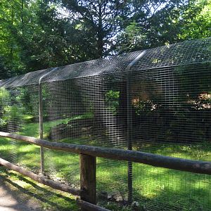 Polecat Ferret Enclosure at Wildpark Grafenberger Wald, 23/06/2019