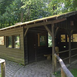 Honey Bee Exhibit at Wildpark Grafenberger Wald, 23/06/2019
