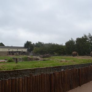 Elephant enclosure in Givskud Zoo