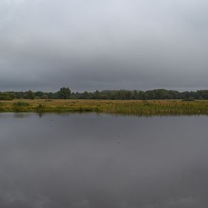 Lake in Givskud Zoo