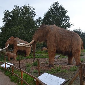 Tilbage til istiden in Givskud Zoo