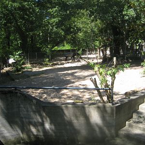 Nürnberg Tiergarten - Malayan tapir exhibit
