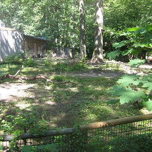 Nürnberg Tiergarten - Brazilian tapir exhibit
