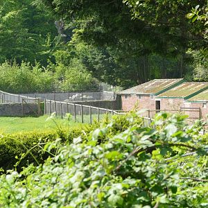 So near yet so far.... May 2020