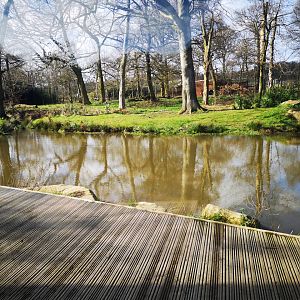 Tiger Trail Jan 2019