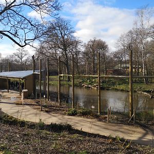 Tiger Trail Jan 2019