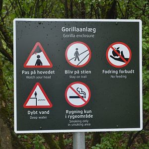 Warning sign at the gorilla enclosure in Givskud Zoo