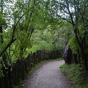 Path leading to gorilla enclosure in Givskud Zoo