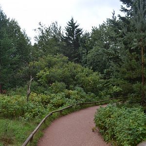 Walk-through enclosure for several species of lemur in Givskud Zoo