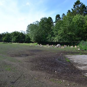 Blackbuck-enclosure in Givskud Zoo