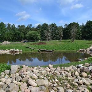 Enclosure for spectacled bear in Givskud Zoo