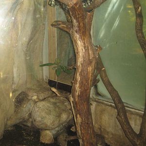 Nürnberg Tiergarten - Tapir house - Python exhibit