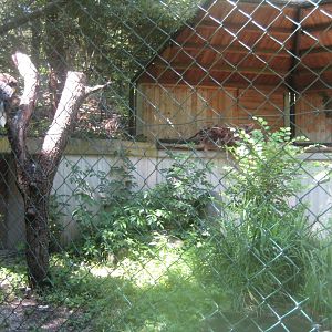 Nürnberg Tiergarten - Sea eagle aviary