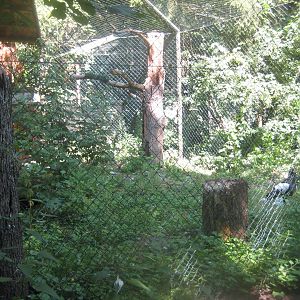 Nürnberg Tiergarten - Sea eagle aviary