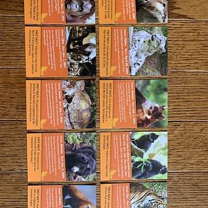 Woodland Park Zoo - Asian Animal Trading Cards (2016)