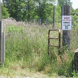 I Feel Extremely Safe