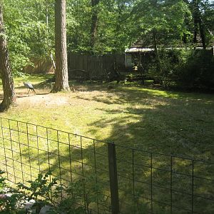 Nürnberg Tiergarten - Duiker/crane exhibit