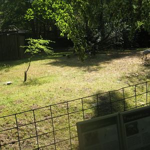 Nürnberg Tiergarten - Duiker/crane exhibit