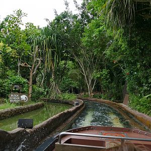 Very fast zooing going on here!