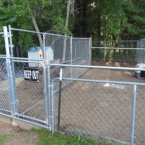 Domestic Chicken/Capybara/Domestic Rabbit/Patagonian Cavy exhibit