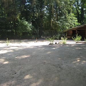 Nürnberg Tiergarten - Reindeer exhibit