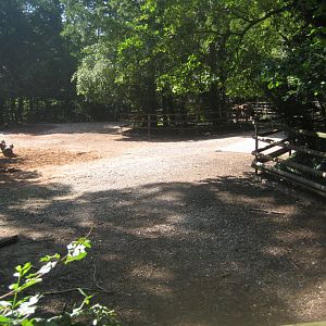 Nürnberg Tiergarten - Wisent exhibit