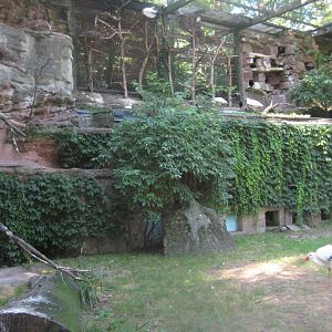Nürnberg Tiergarten - Walkthrough aviary