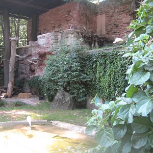 Nürnberg Tiergarten - Walkthrough aviary