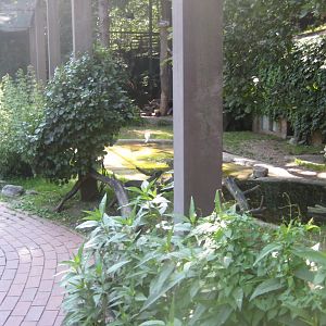 Nürnberg Tiergarten - Walkthrough aviary