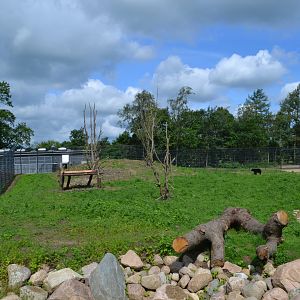 Enclosure for spectacled bear in Givskud Zoo