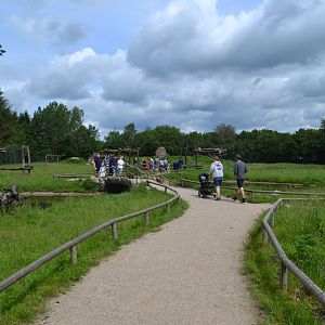 Walk-through enclosure for barbary macaque in Givskud Zoo