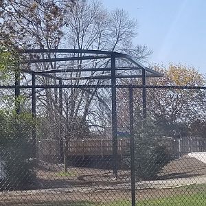 New Eagle Exhibit Construction