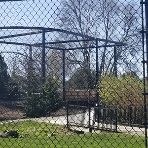 New Eagle Exhibit Construction